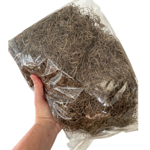 Preserved Spanish moss grey