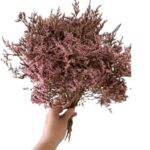 Dry flowers Tatarica pink - Image 3