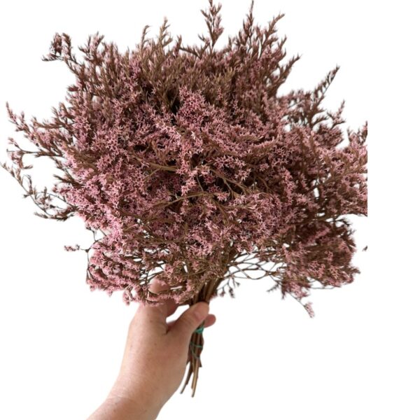 Dry flowers Tatarica pink - Image 3