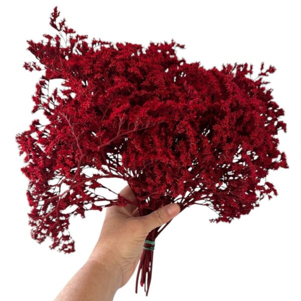 Dry flowers Tatarica red - Image 2