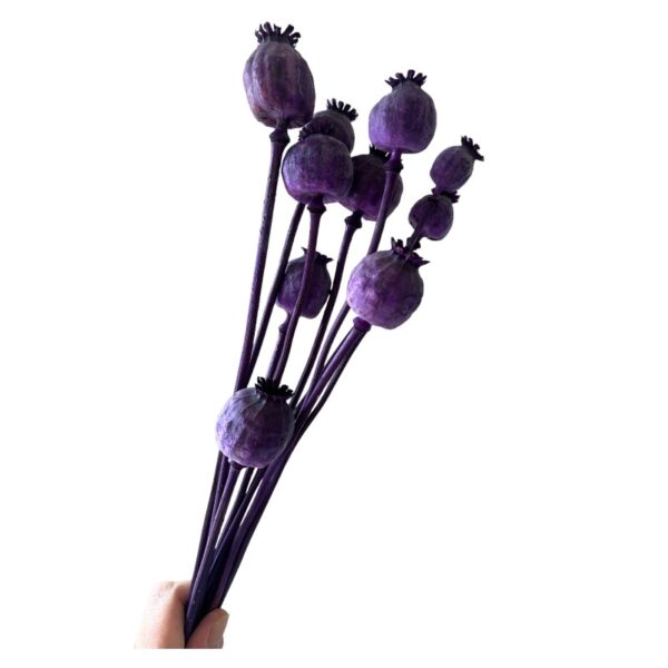Dry Poppy Pod lilac - Image 2
