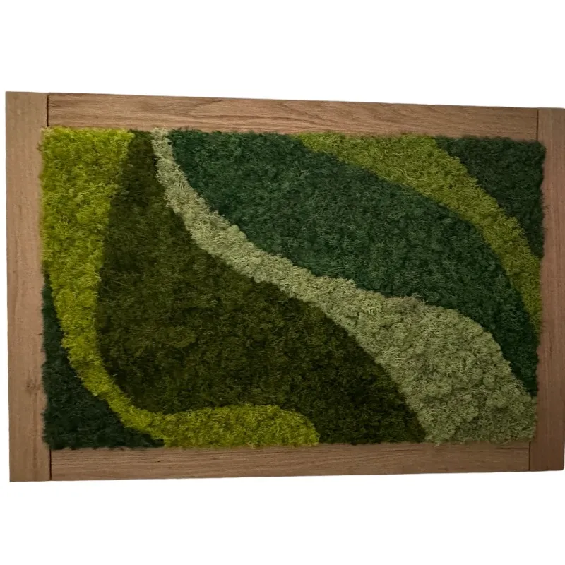 Preserved moss wall art
