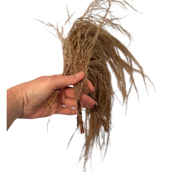 Dry River pampas - Image 2