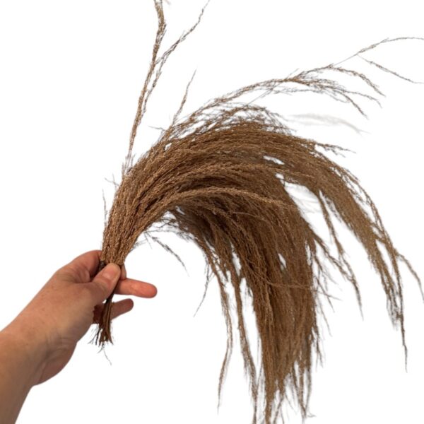 Dry River pampas, for wiring