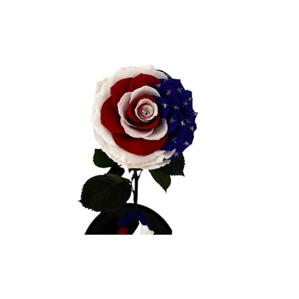Preserved rose USA flag - Image 5