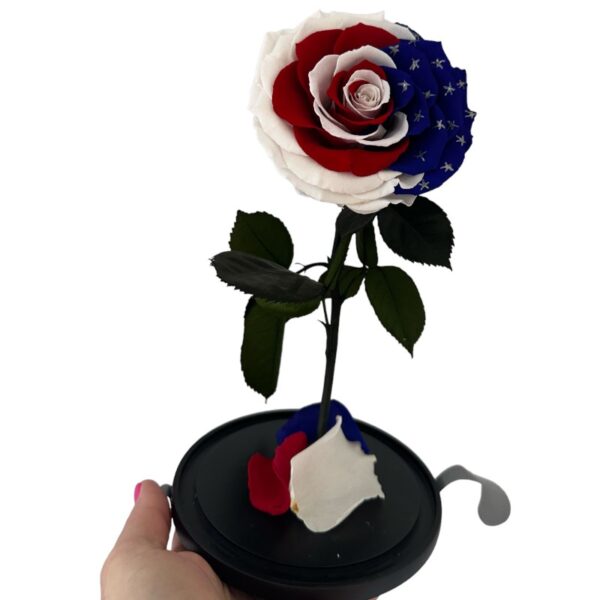 Preserved rose USA flag - Image 4