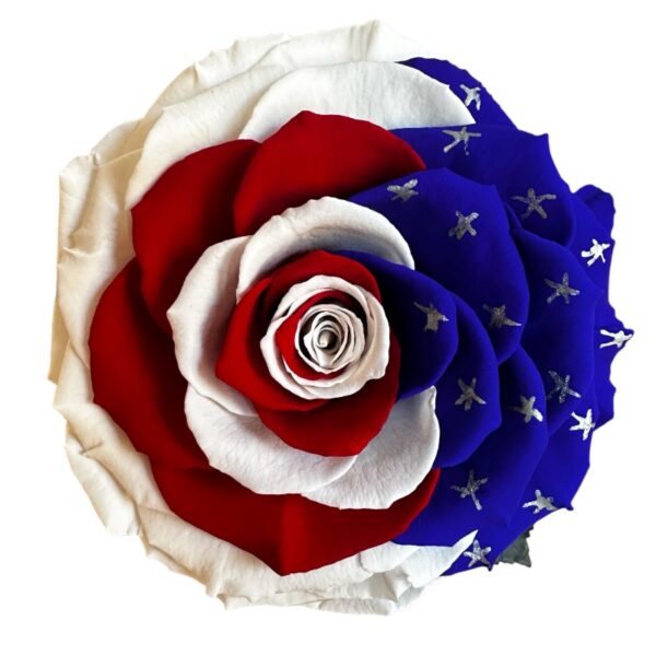 Preserved rose USA flag - Image 3