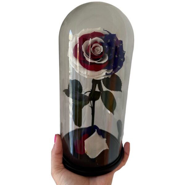 Preserved rose USA flag - Image 2