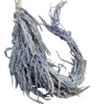 Light blue amaranthus
