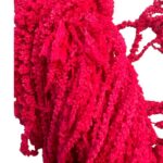 Preserved Fuchsia amaranthus - Image 2
