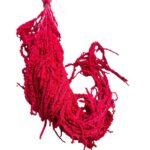 Fuchsia amaranthus