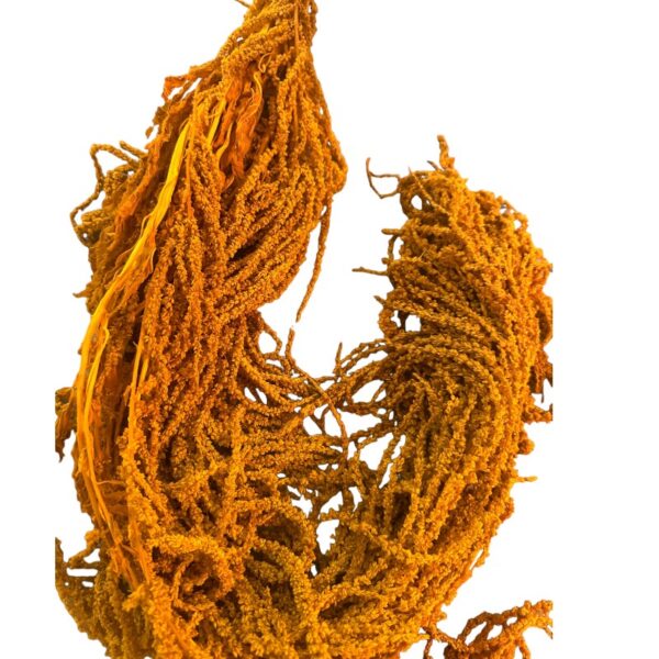 Preserved Mustard amaranth - Image 2