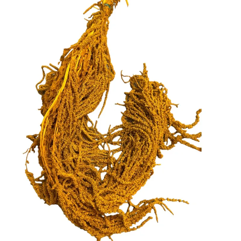 Mustard amaranth
