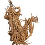 light brown amaranthus