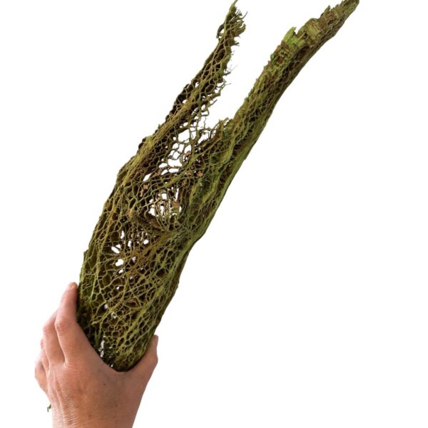 Preserved Agave bag, green - Image 5