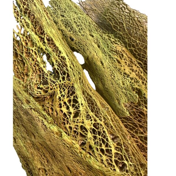 Preserved Agave bag, green - Image 4