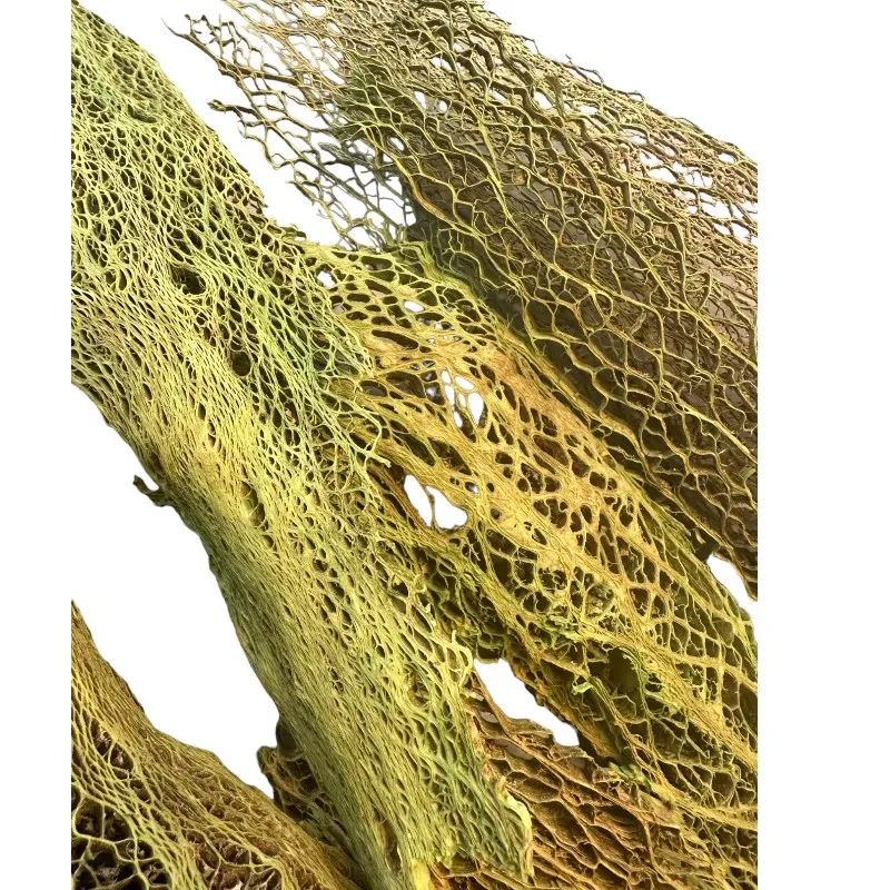 green agave