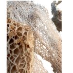 Preserved Agave beige, bag - Image 6
