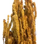 Preserved yellow green