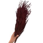 Preserved x3 fern red - Image 4