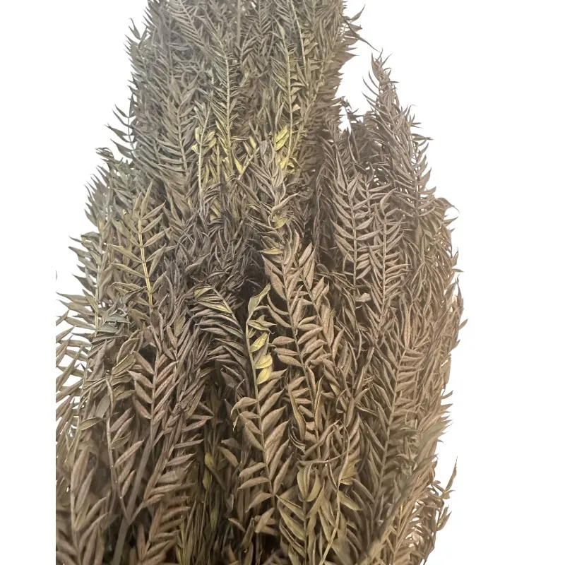 Preserved Jacaranda green