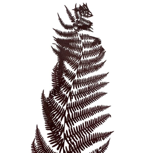 Preserved fern Bracken brown color - Image 7