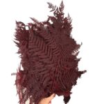 Preserved fern Bracken brown color - Image 3