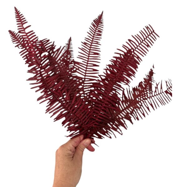Preserved red Seagul fern