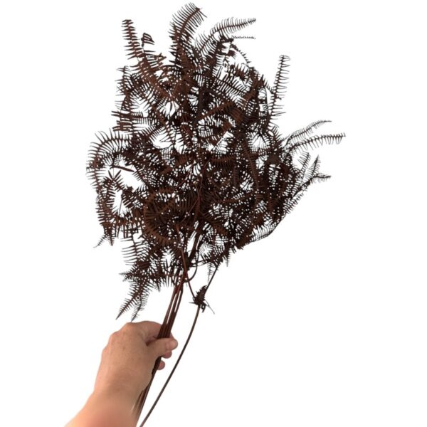 Preserved wild fern brown