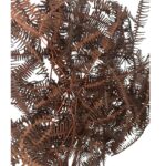 Preserved wild fern brown - Image 3