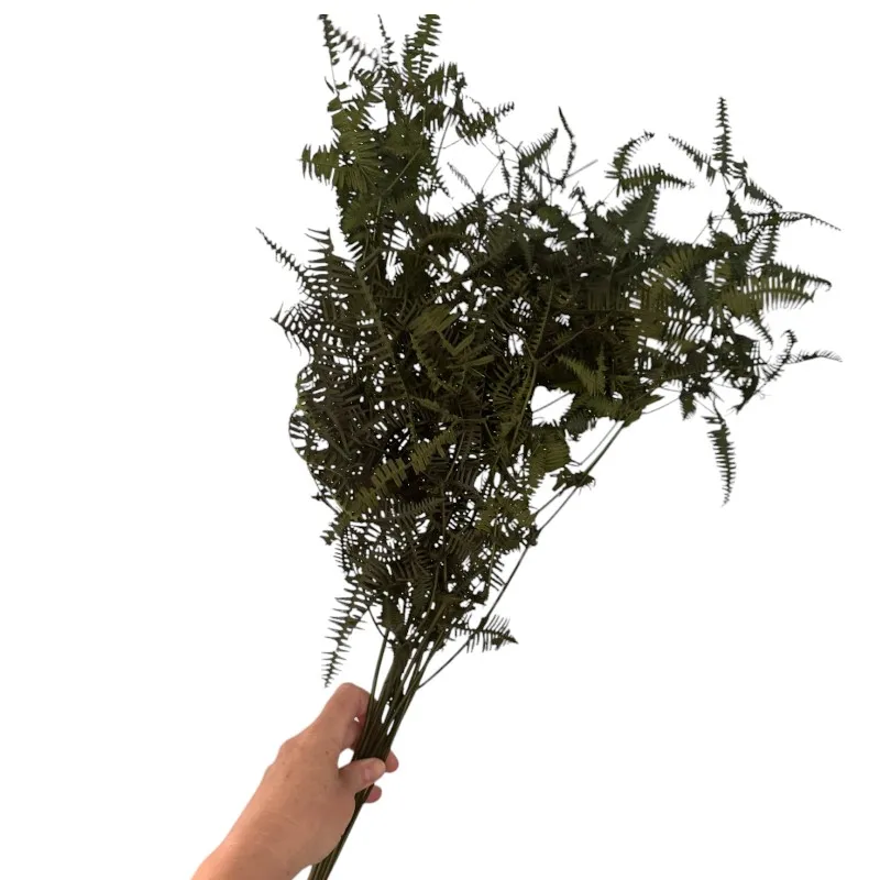 Preserved wild fern green
