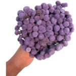 Dry lilac color botao. Big bunch