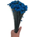 Dry blue botao. Big bunch