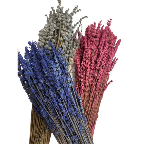 Preserved fuchsia lavender - Image 5