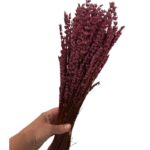 Preserved fuchsia lavender - Image 4
