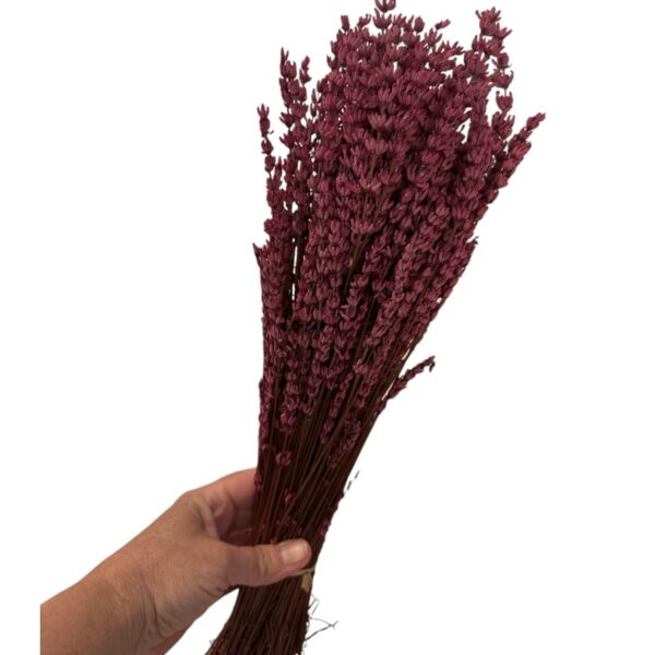 Preserved fuchsia lavender - Image 4