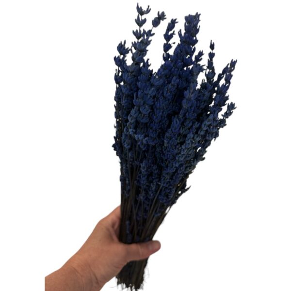 Preserved dark blue lavender - Image 6