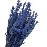 Preserved dark blue lavender - Image 5