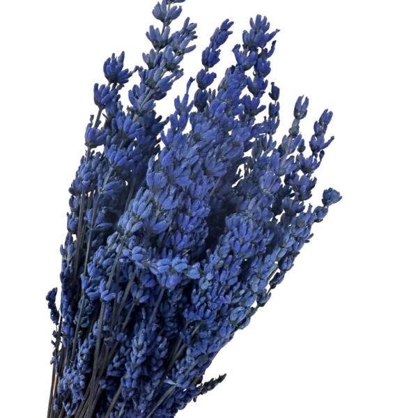 Preserved dark blue lavender - Image 5