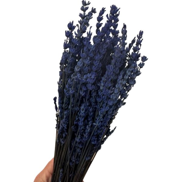 Preserved dark blue lavender - Image 4