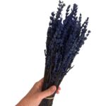 Preserved dark blue lavender - Image 2