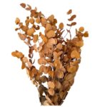 Preserved gold eucalyptus - Image 3