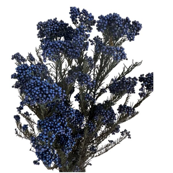 Preserved dark blue Rice flowers - Image 3