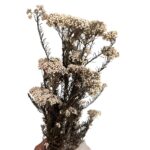 Preserved white Rice flowers - Image 3
