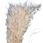 Dry wild oat white