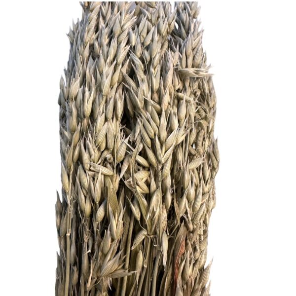 Dry sativa natural. Big bunch