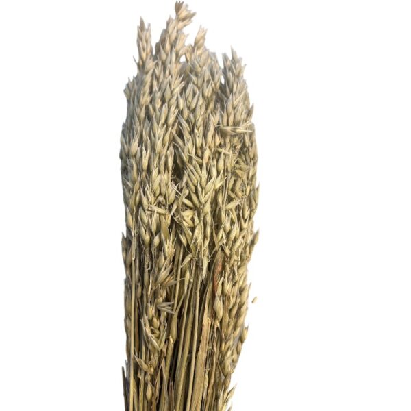 Dry sativa natural. Big bunch - Image 2
