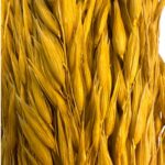 Dry sativa yellow. Big bunch