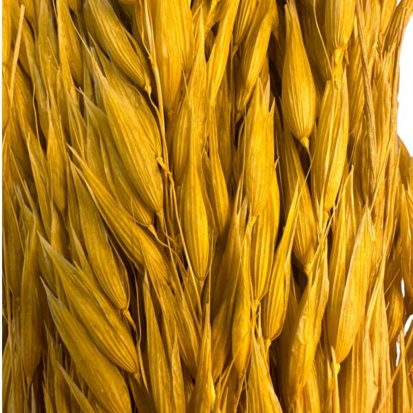 Dry sativa yellow. Big bunch