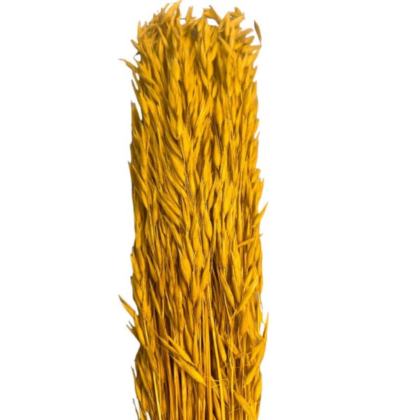 Dry sativa yellow. Big bunch